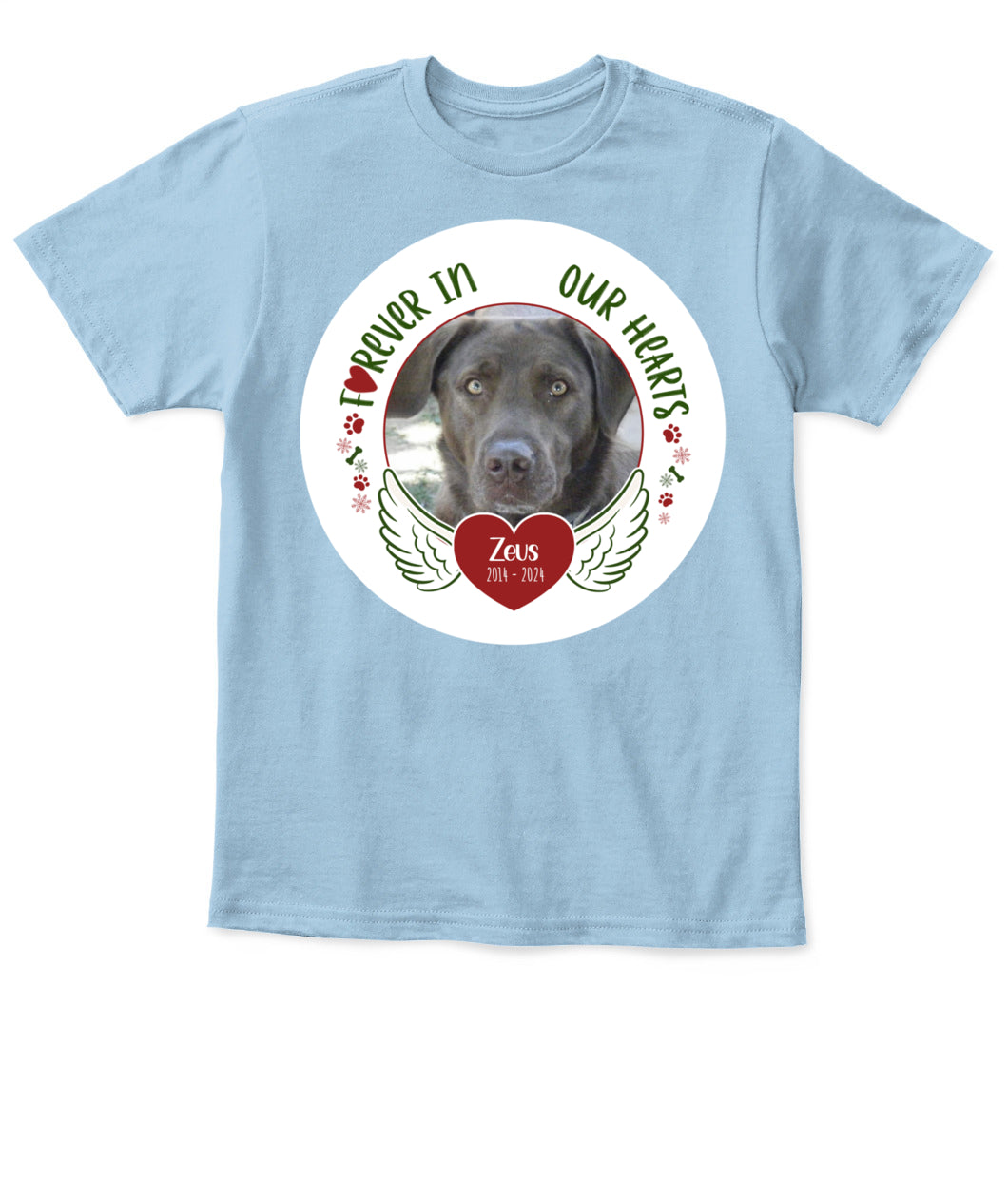 Custom Pet Memorial T-Shirt - Personalized Tribute Shirt for Pet Lovers
