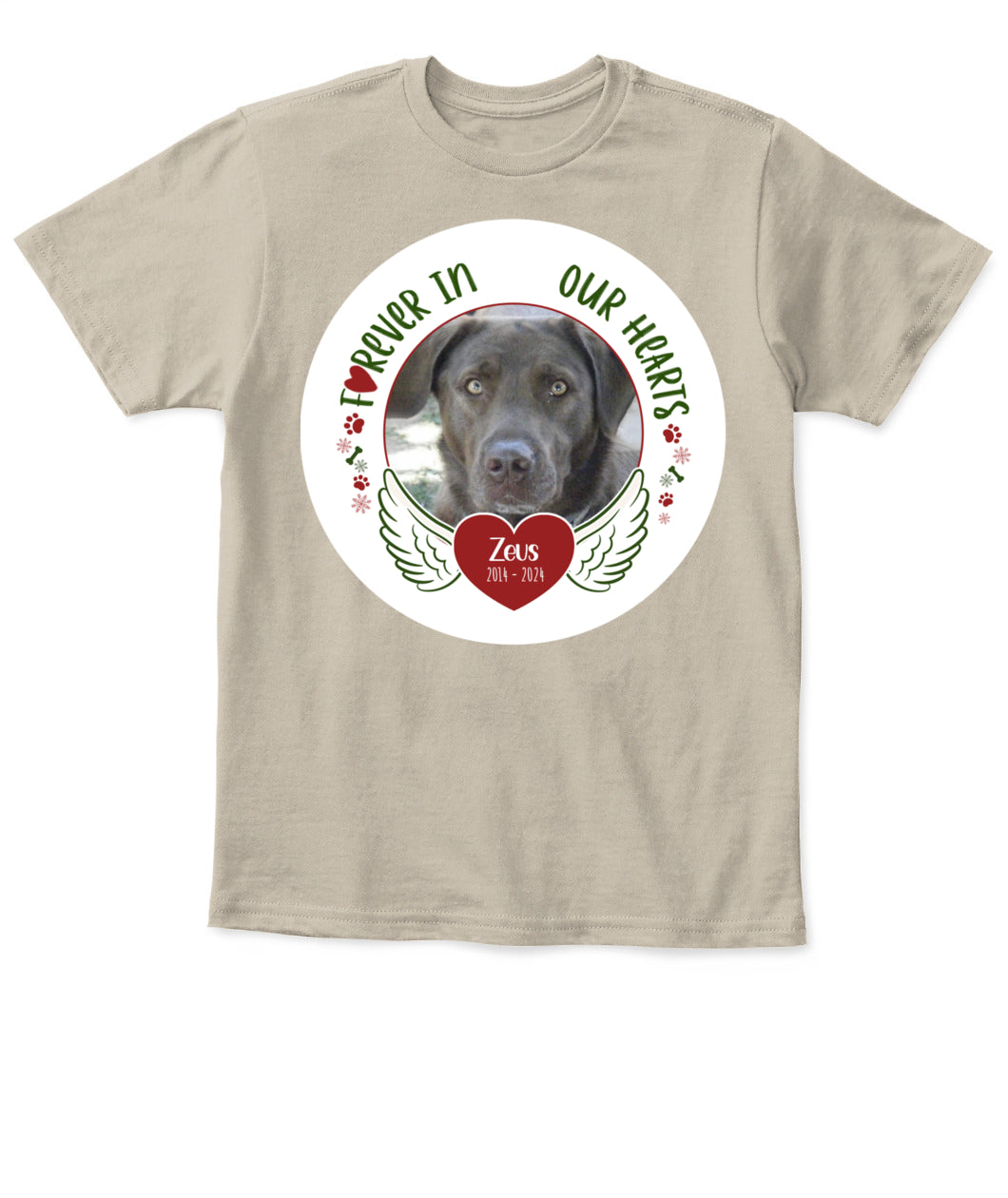 Custom Pet Memorial T-Shirt - Personalized Tribute Shirt for Pet Lovers