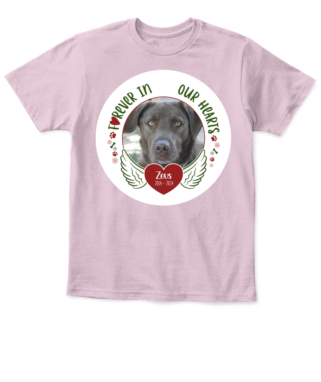 Custom Pet Memorial T-Shirt - Personalized Tribute Shirt for Pet Lovers
