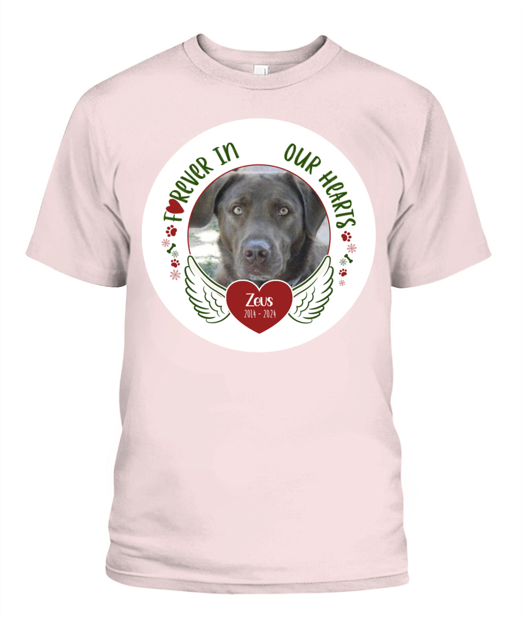 Custom Pet Memorial T-Shirt - Personalized Tribute Shirt for Pet Lovers