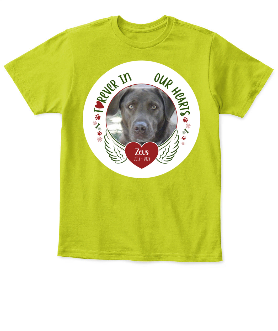 Custom Pet Memorial T-Shirt - Personalized Tribute Shirt for Pet Lovers