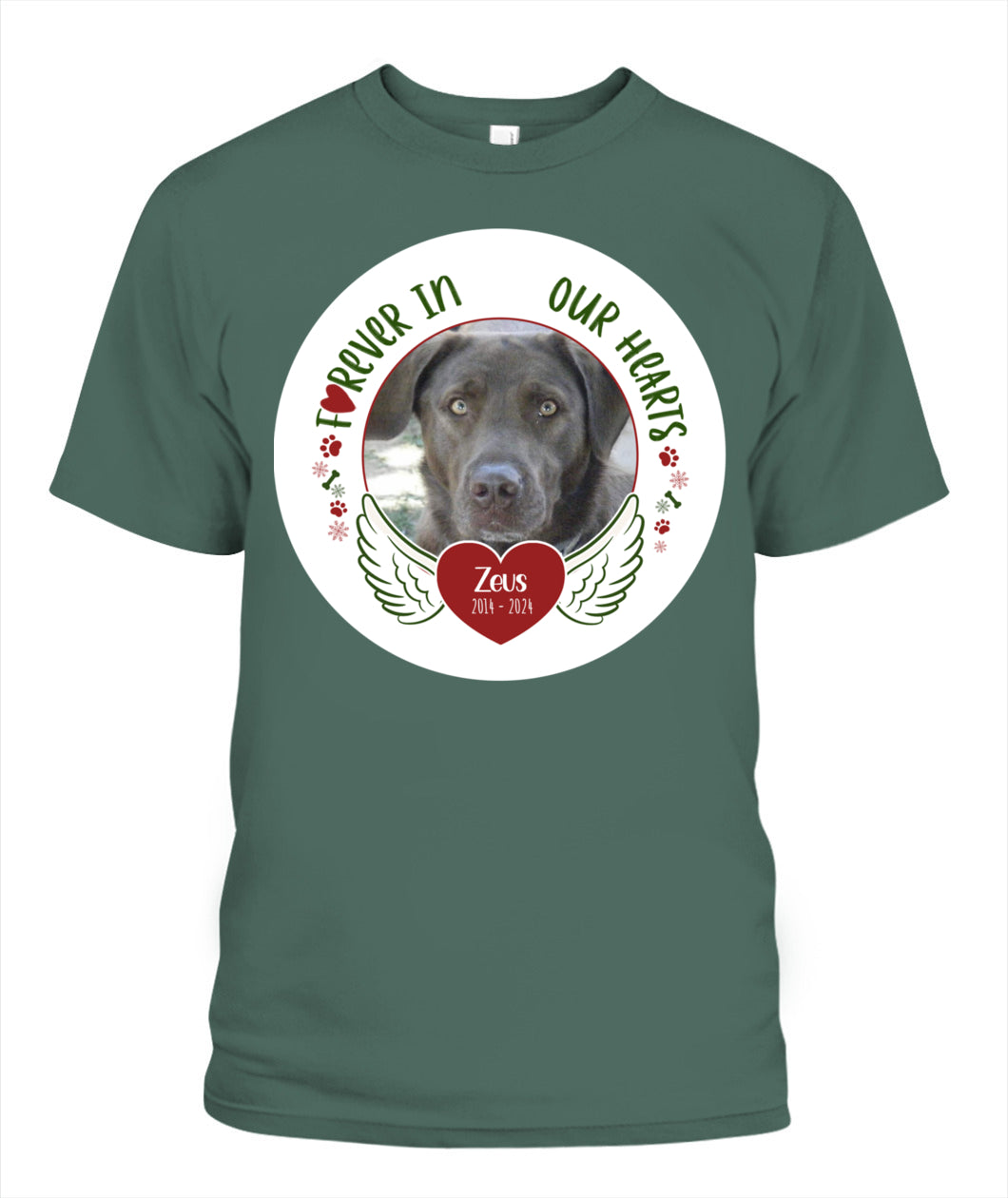 Custom Pet Memorial T-Shirt - Personalized Tribute Shirt for Pet Lovers