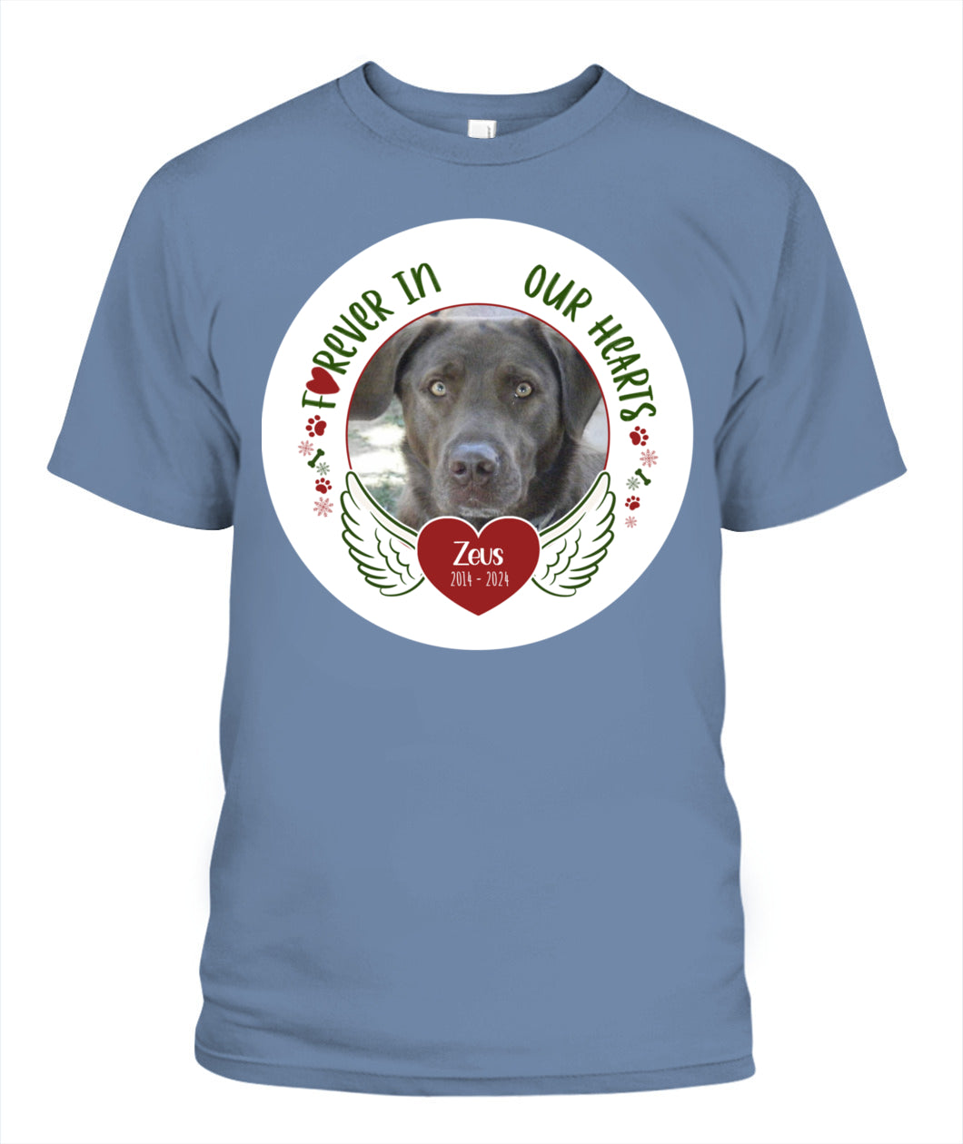 Custom Pet Memorial T-Shirt - Personalized Tribute Shirt for Pet Lovers