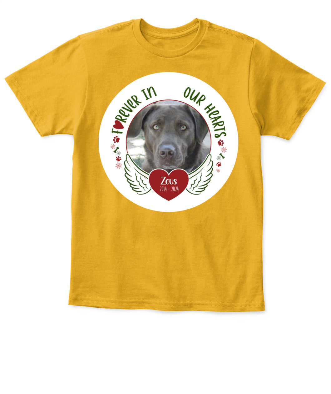 Custom Pet Memorial T-Shirt - Personalized Tribute Shirt for Pet Lovers