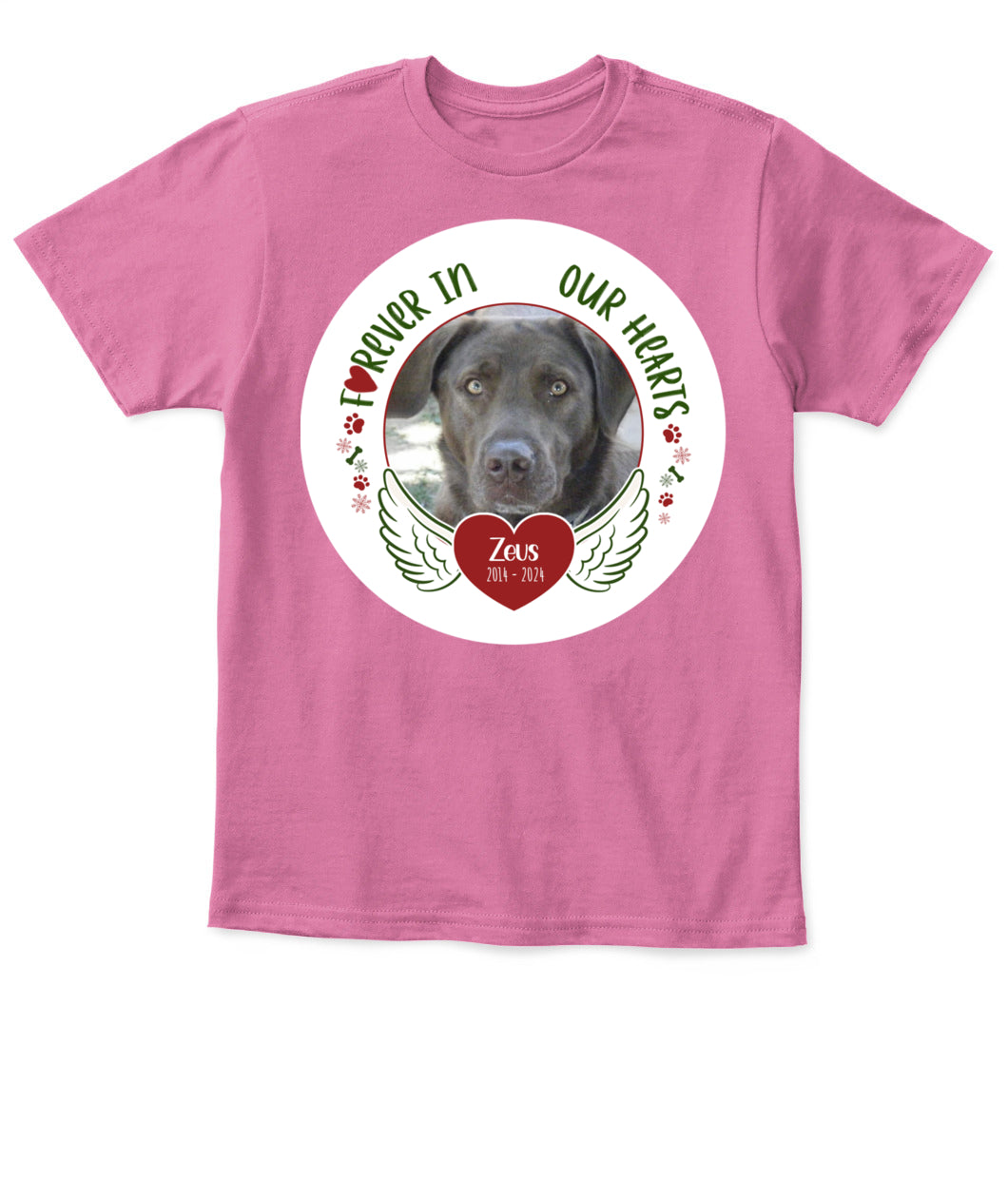 Custom Pet Memorial T-Shirt - Personalized Tribute Shirt for Pet Lovers